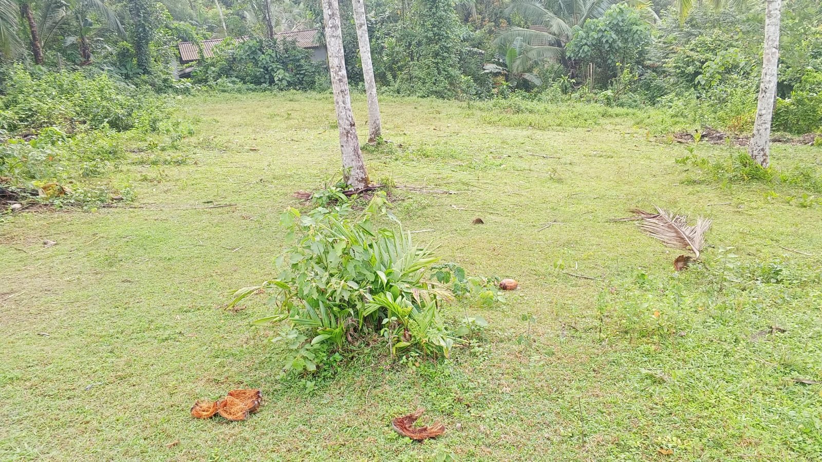 🌿🏡 මීගොඩ ආර්ථික මධ්‍යස්ථානය ආසන්නයේ වටිනා ඉඩමක් විකිණීමට! 🏡🌿