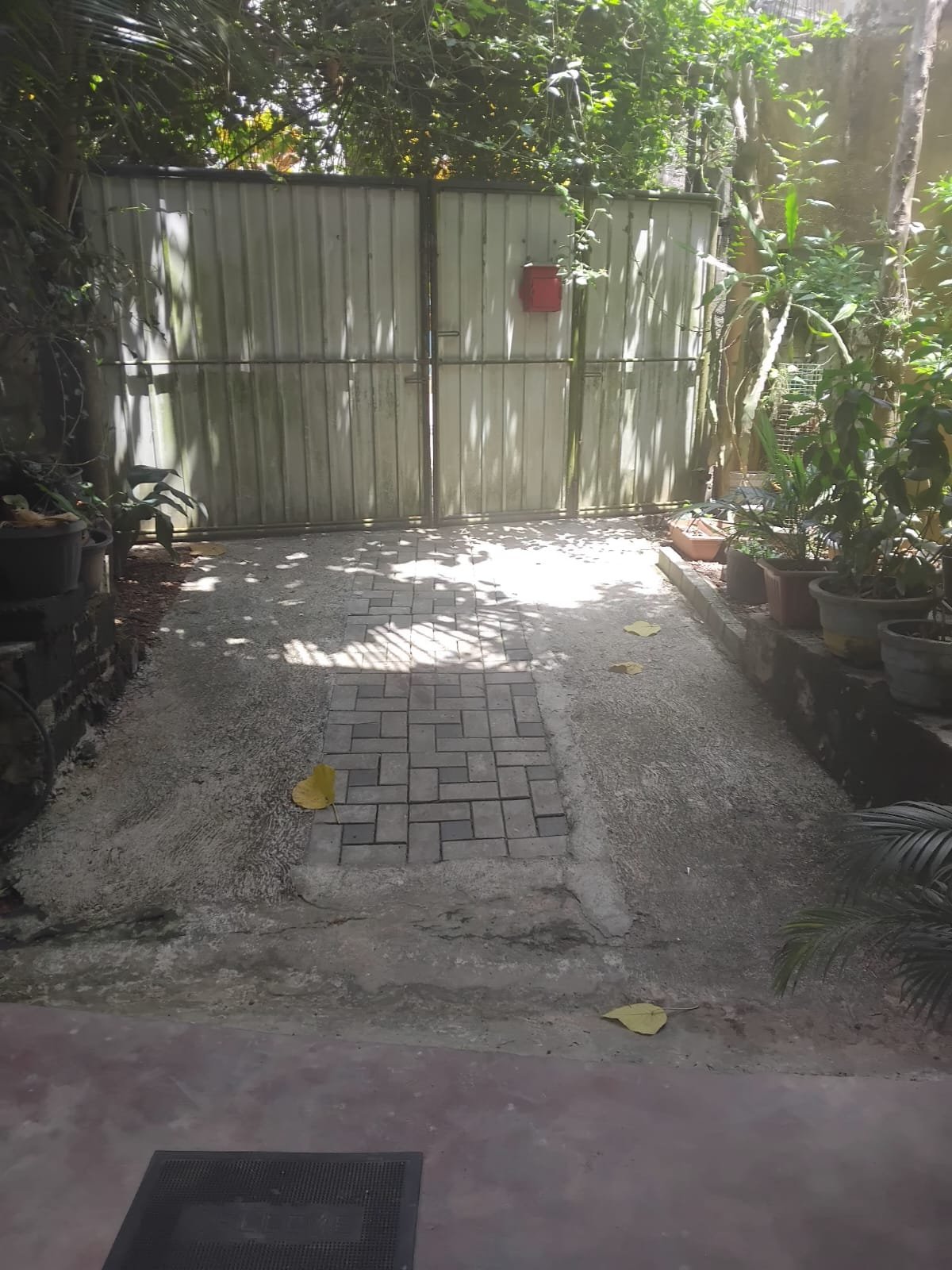 Photo 4