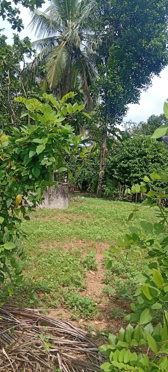 මාගම්මන, වෙදගේවත්ත පාරේ (කාපට් පාරට මූණලා) පිහිටි පර්චස් 10 ක වටිනා නේවාසික ඉඩමක් විකිණීමට