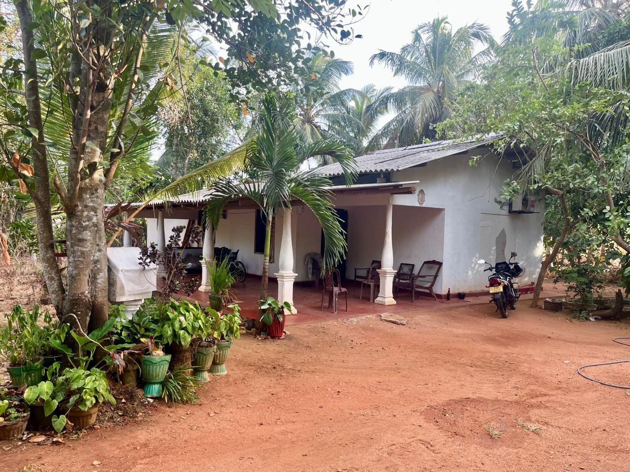 අනුරාධපුර පරසන්ගස්වැවෙන් වැවකට සහ කුඹුරකට මායිම් වූ අගනා නිවස සහ ඉඩම වහාම විකිණීමට - ලක්ෂ 70