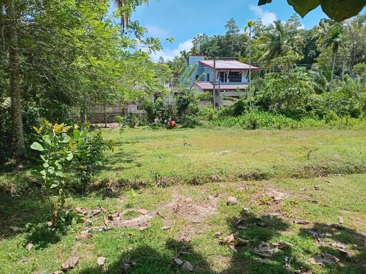 පර්චස් 122ක විශාල ඉඩමක් විකිණීමට – මැදගොඩ, කඹුරුගමුව