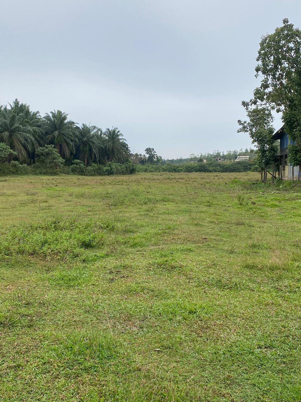 Prime Industrial Land for Sale – Walipenna, Walagedara Industrial Zone