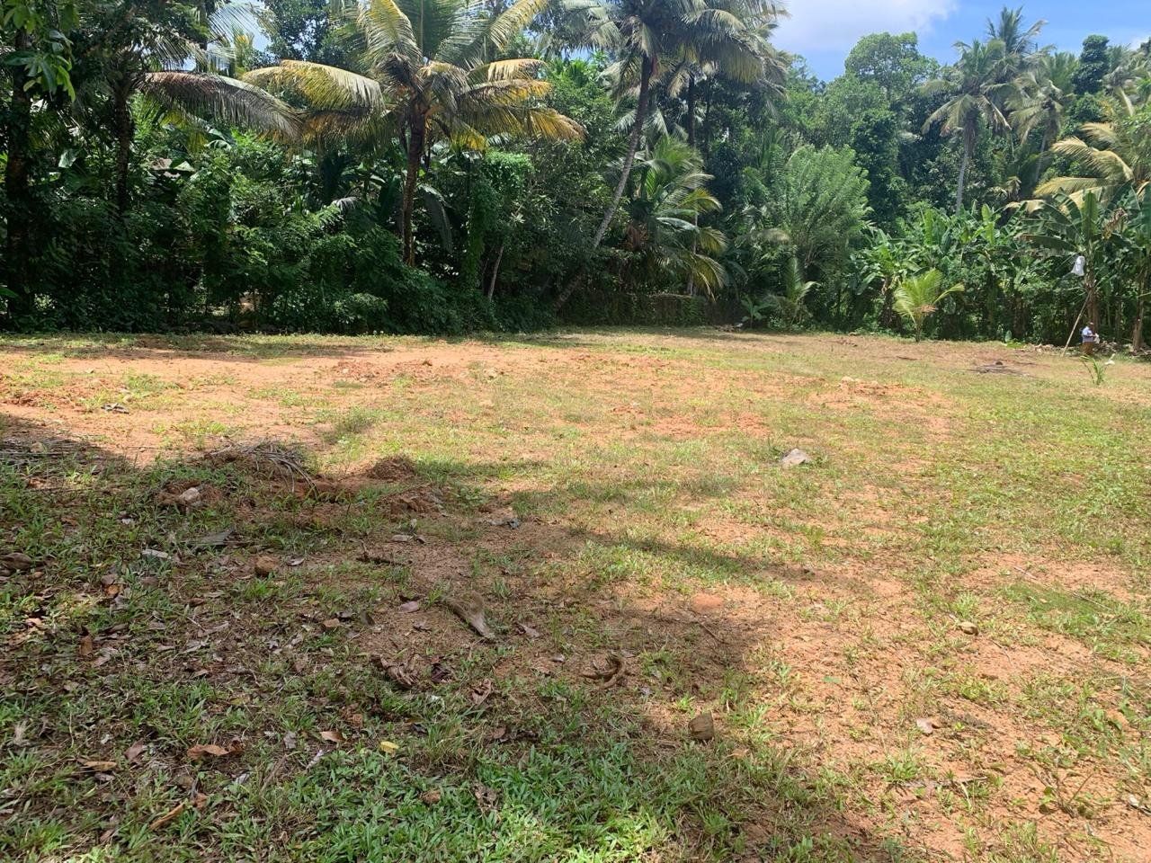 මීගොඩ – වටරැක ප්‍රදේශයේ පර්චස් 48ක වටිනා තැනිතලා ඉඩමක් විකිණීමට