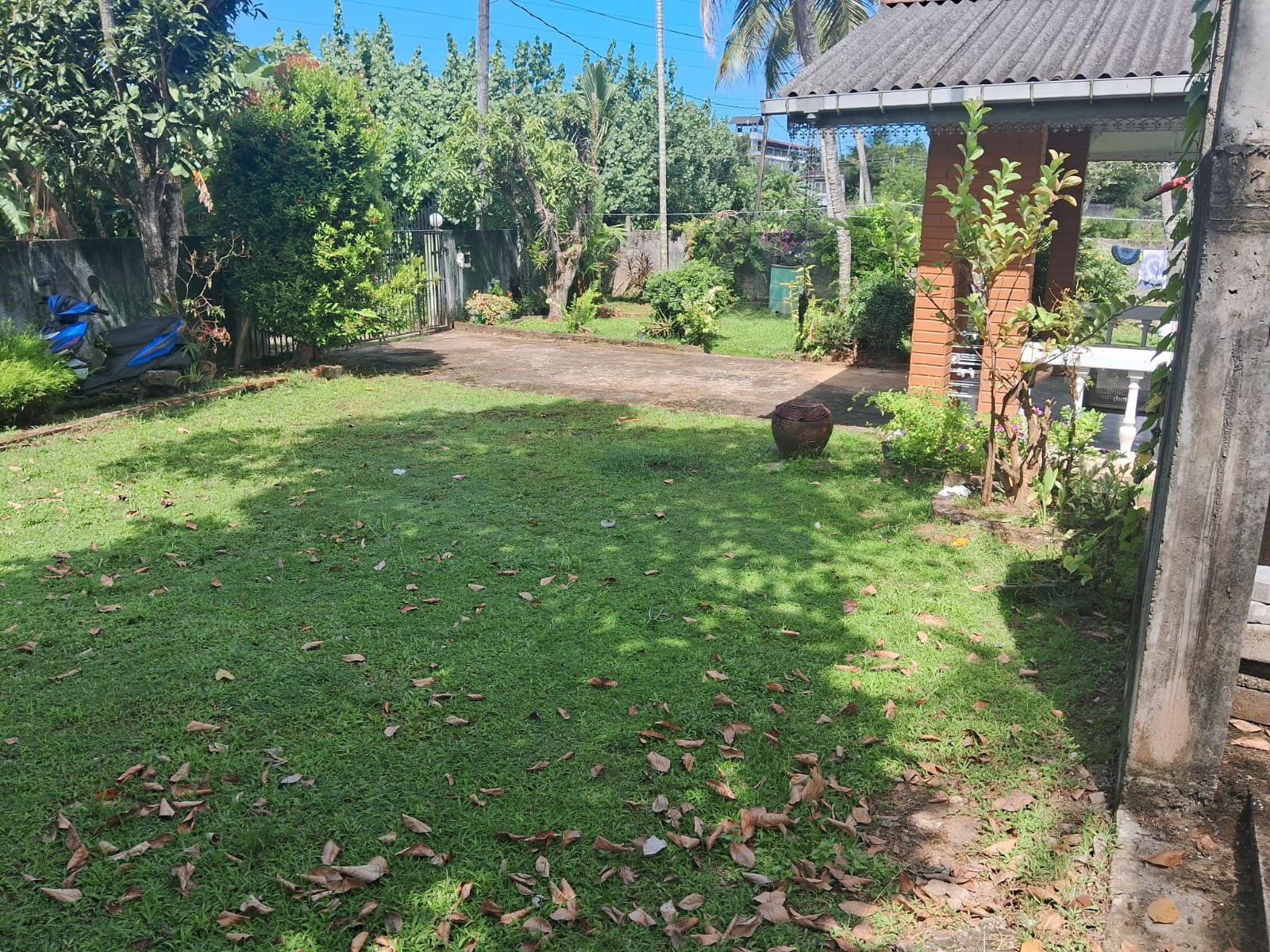 Photo 5