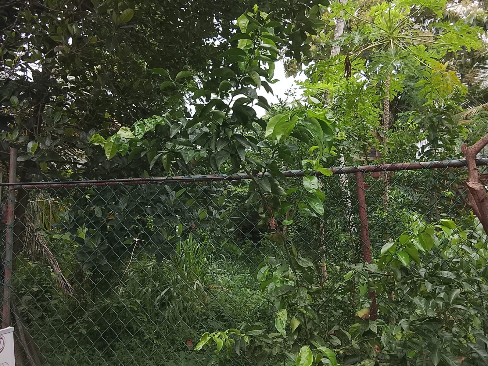 14 Perches Prime Residential Land for Sale – Pannipitiya, Weera Mawatha