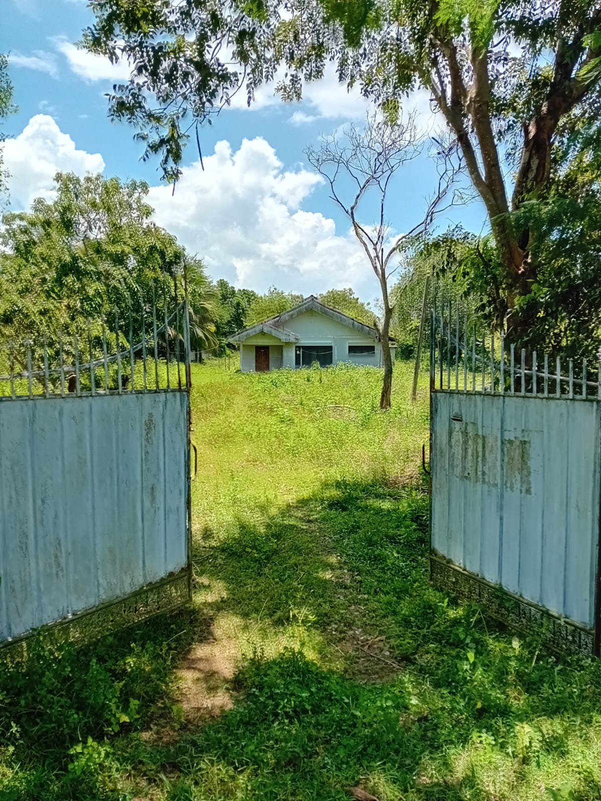 නෝනගම නගරයට ආසන්නයෙන් නිවසක් සහිත වටිනා වෙළඳ ඉඩමක් විකිණීමට