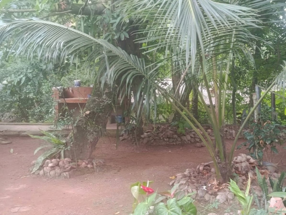 මුල්ලේරියාව, හිඹුටානෙන් පර්චස් 42.40ක අගනා ඉඩමක් විකිණීමට