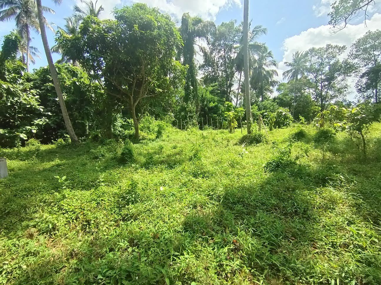 කුරුණෑගල, දොරටියාවෙන් සියලු පහසුකම් සපිරි වටිනා පර්චස් 20ක නේවාසික ඉඩම වහාම විකිණීමට