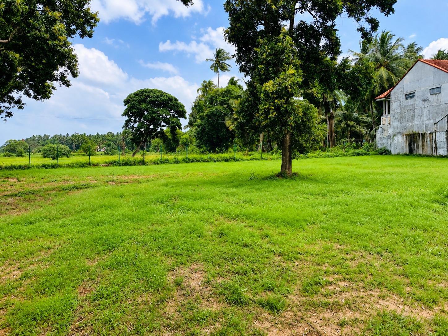 Commercial Land For Sale – Katunayake