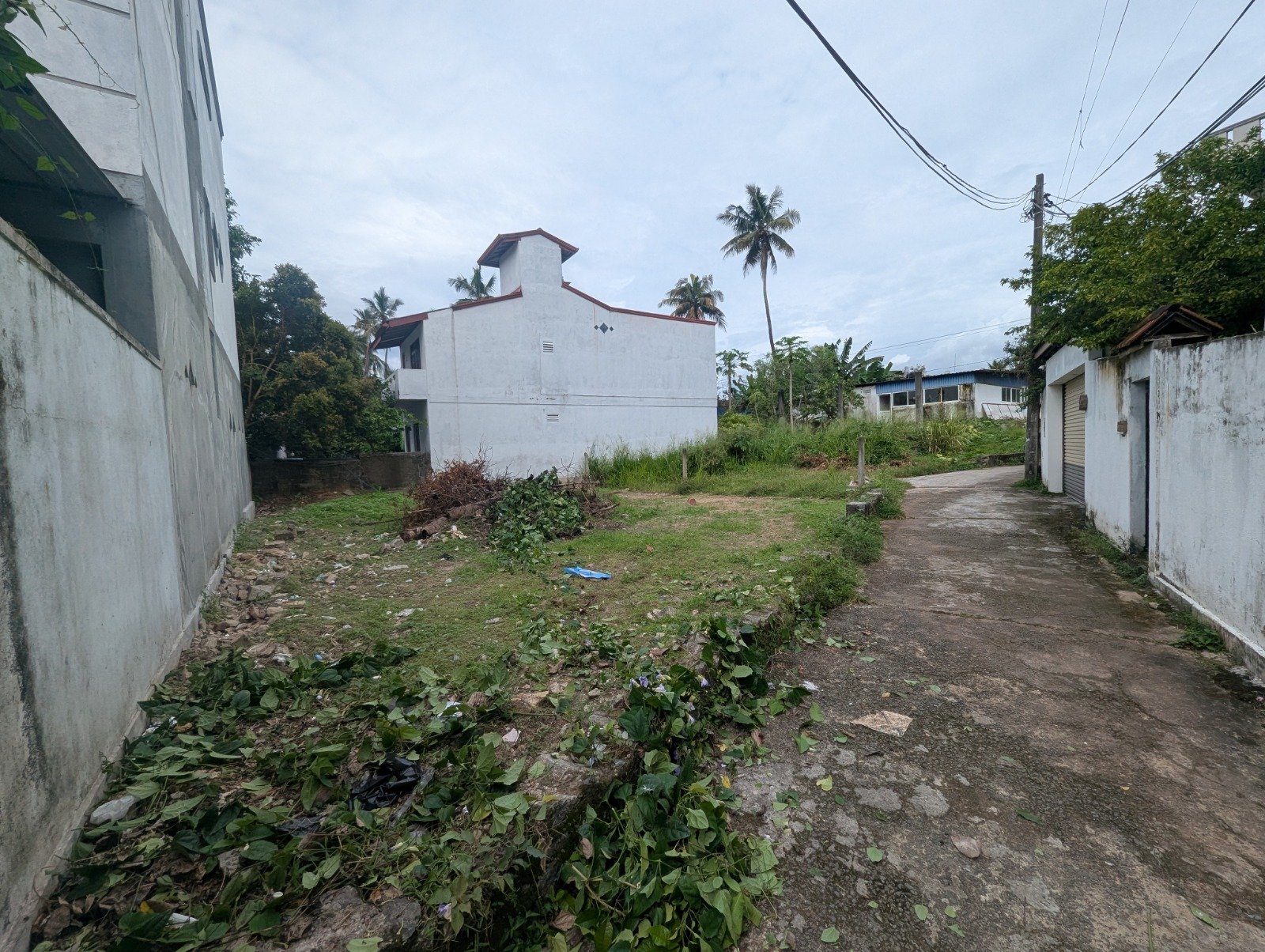 Photo 5