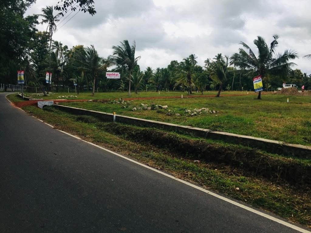 🏡 පර්චස් 15ක ඉඩමක් විකිණීමට – පෑල්ලම්දෙනිය, කුරුණෑගල