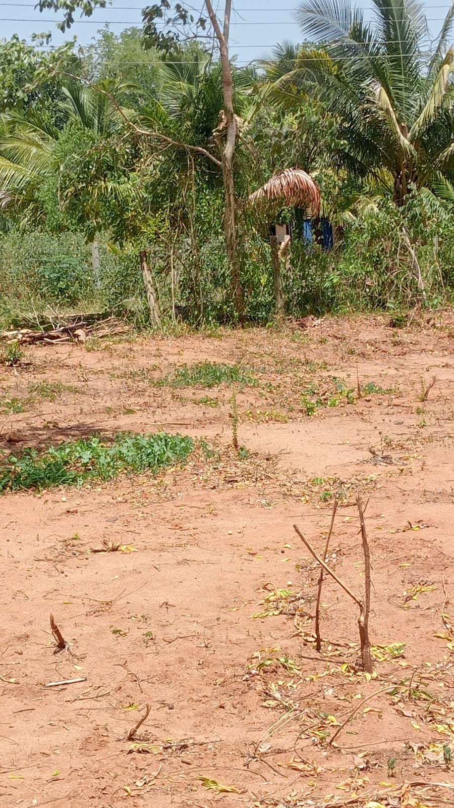 තංගල්ල – නෙටොල්පිටිය, Rekawa පාර අසල පර්චස් 50ක අගනා ඉඩමක් විකිණීම