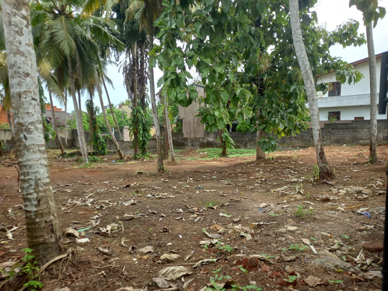 LAND FOR SALE – SIDDAMULLA, KOTTAWA (NIDAHAS MAWATHA)