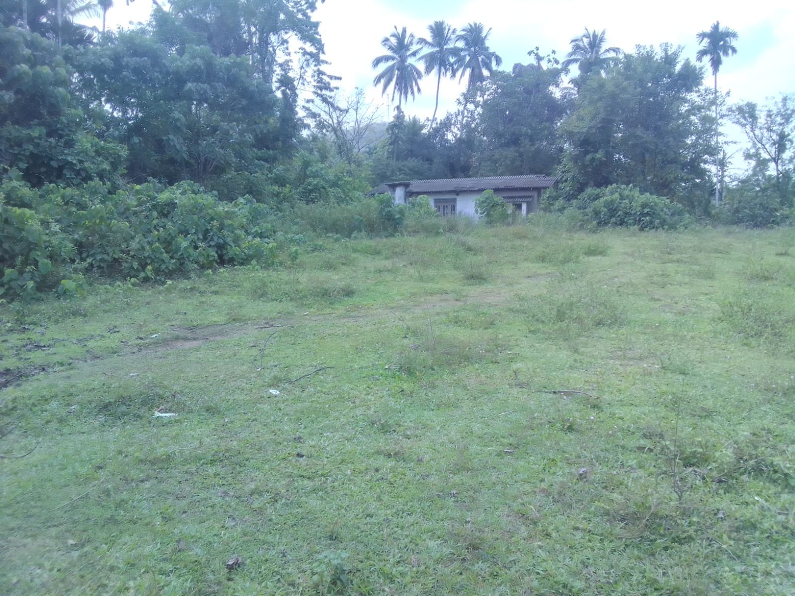 280 Perch residential land in Welipenna (Matugama)