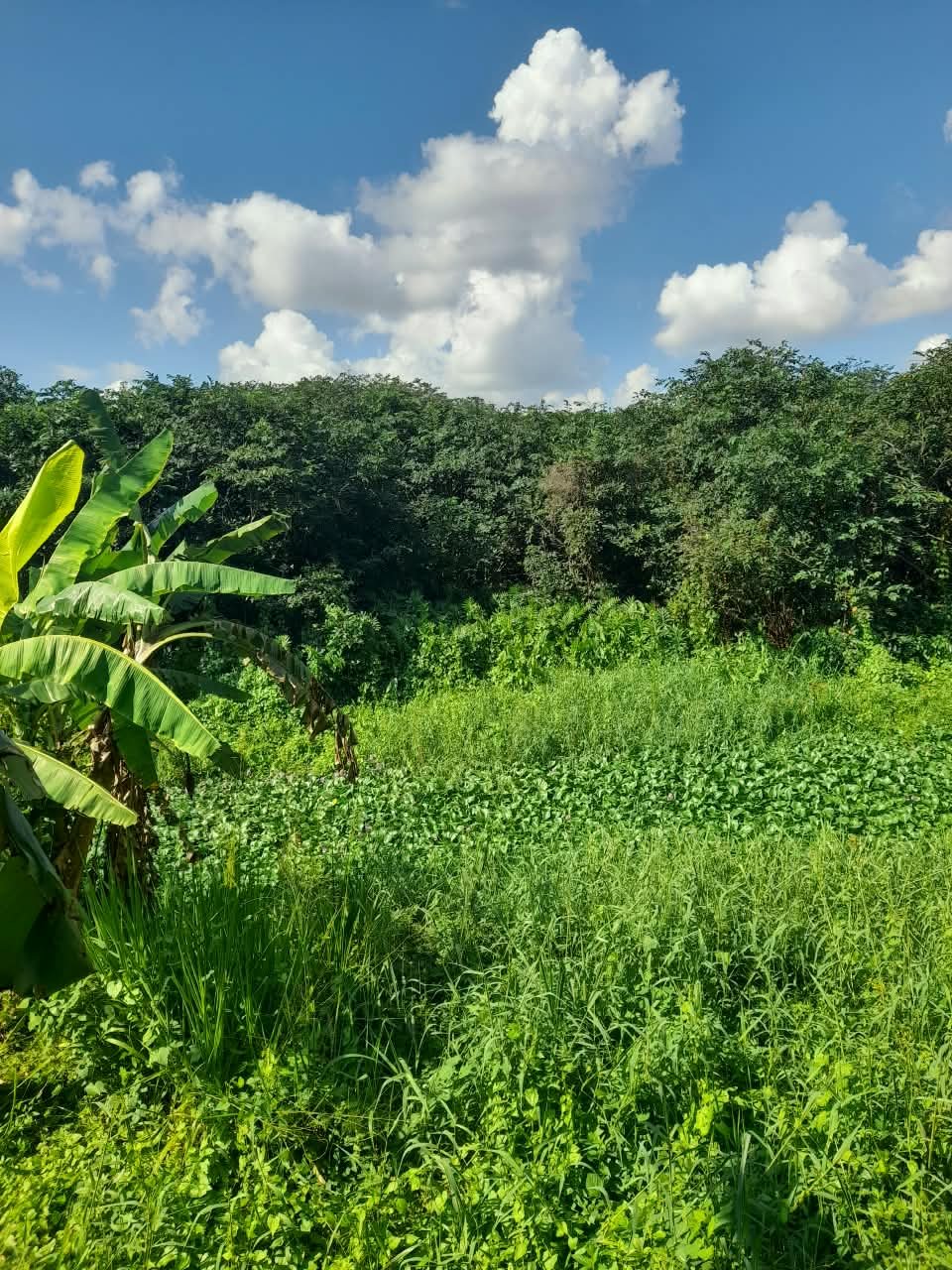 Commercial / Tourism Land for Sale in Kaduwela Town