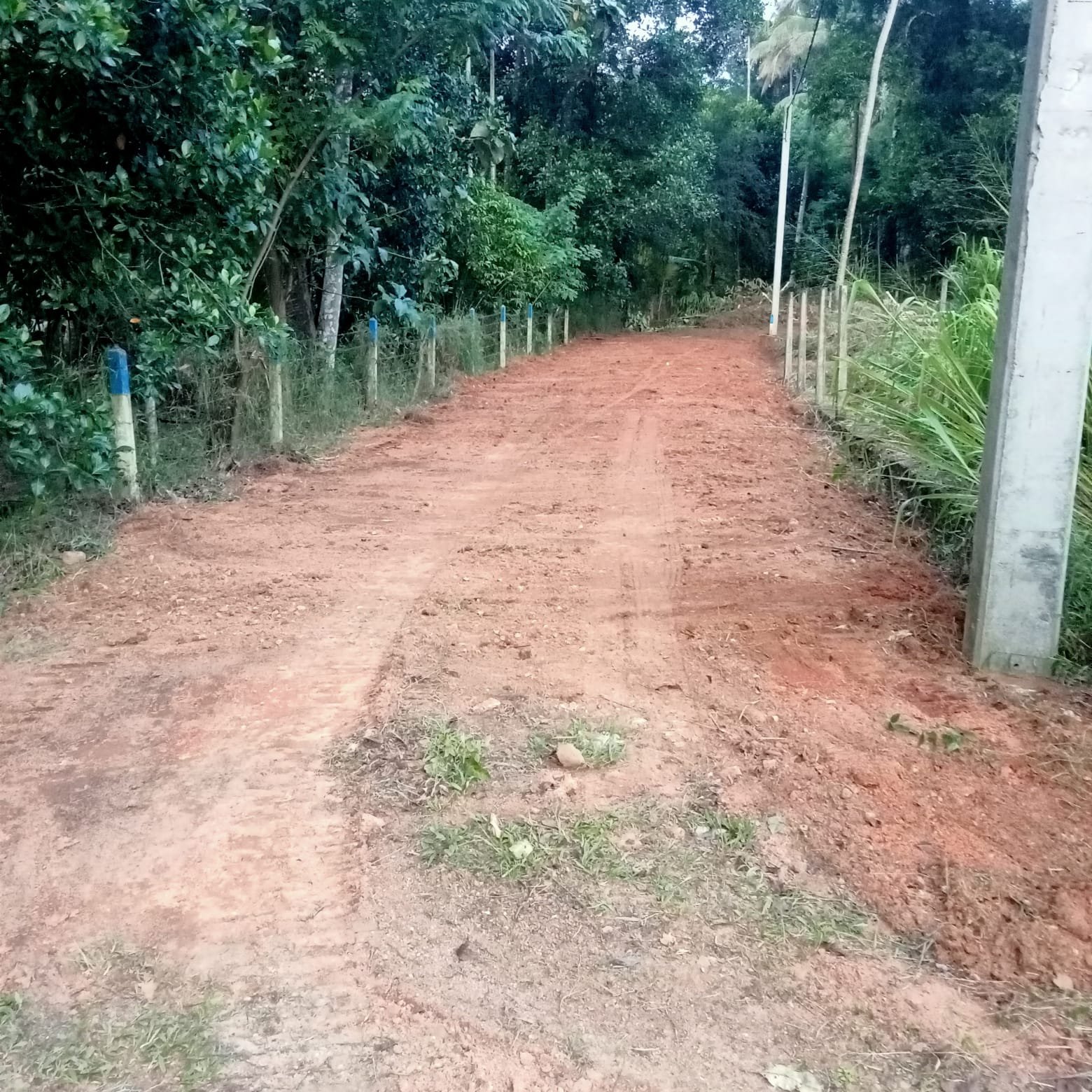 Prime Land for Sale in Pothuhera – Rapidly Developing Expressway Hub (පොතුහැරින් සුන්දර නිස්කලංක නේවාසික ඉඩම් කැබලි 02ක් වහාම විකිණේ)