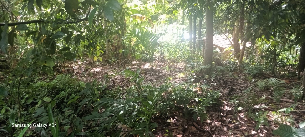 පර්චස් 33.7ක ඉඩමක් විකිණීමට – මැදවල, අලවත්තේගම