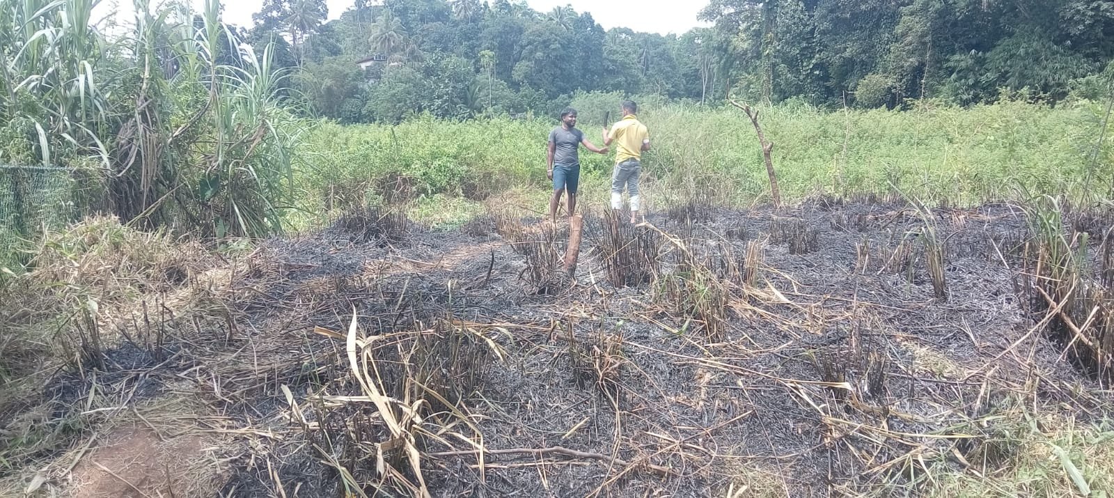 මහනුවර යටි නුවරින් වටිනා බිම් කොටසක් විකිණීමට (අරඹේගම)-- පිළිමතලාව නගරයට ඇත්තේ මීටර් 600 ක් පමණි!