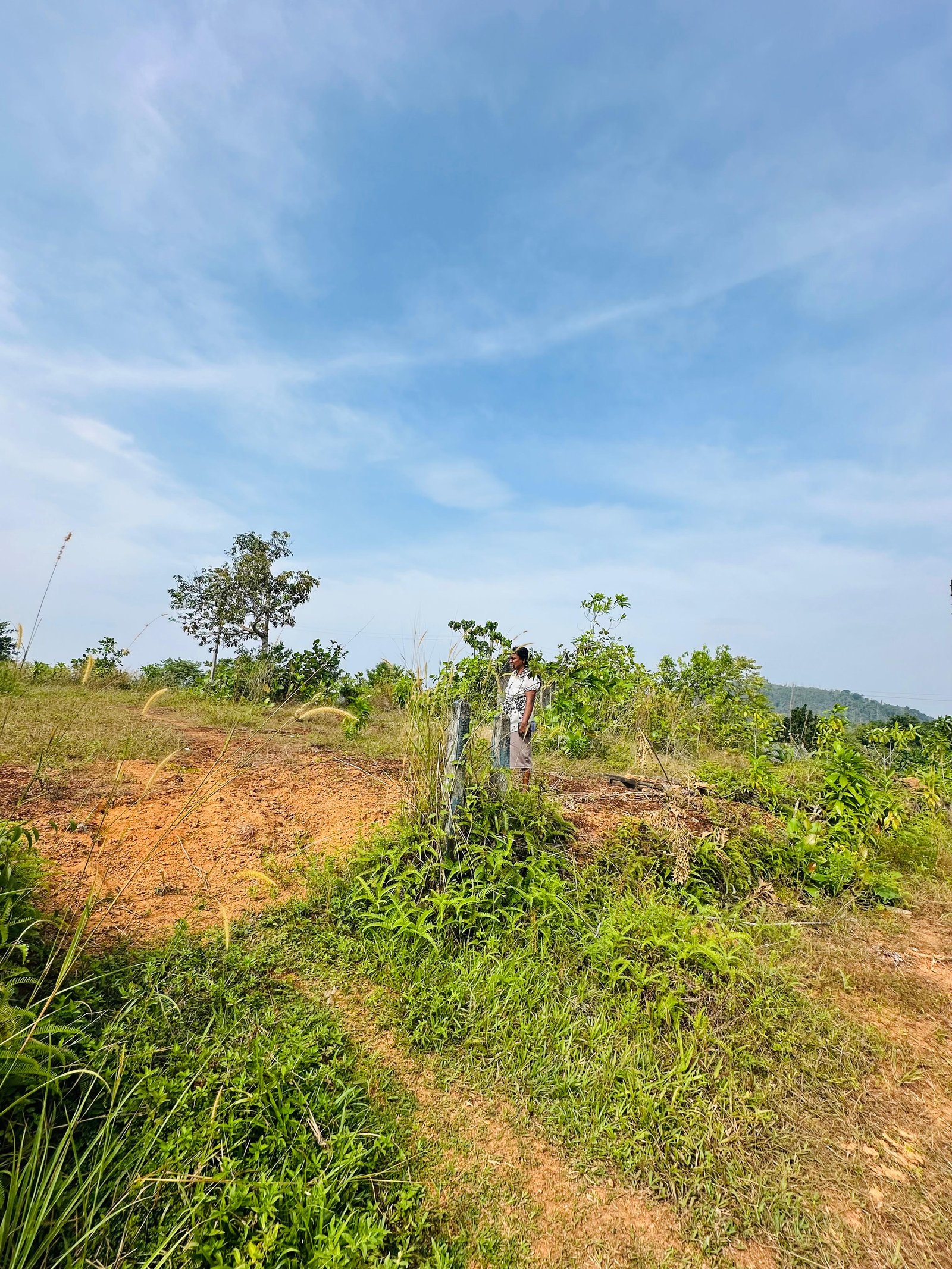 🌿🏡 යටදොලවත්ත – රාජධාන ව්‍යාපෘතියේ වටිනා ඉඩමක් විකිණීමට 🏡🌿