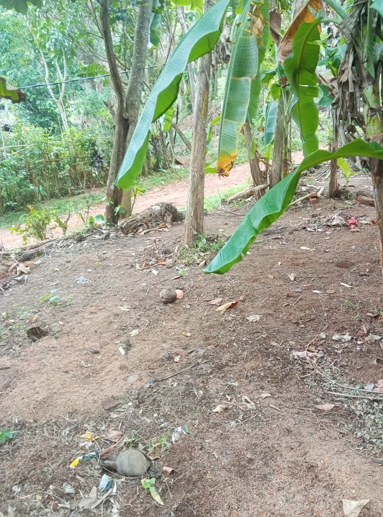 දෙල්ගොඩ, කටුලන්ද ප්‍රදේශයෙන් වටිනා බිම් කොටසක් වහාම විකිණීමට