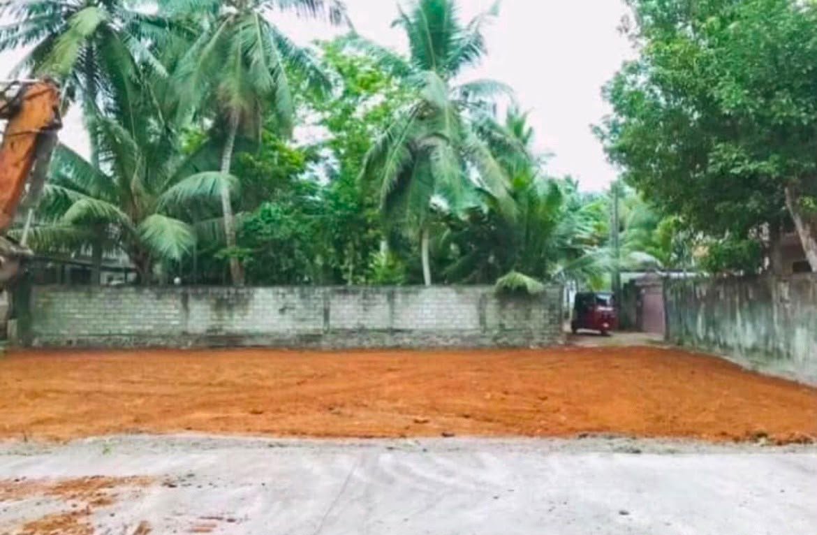 වාද්දූව ඉතා වටිනා ඉඩමක්