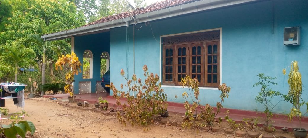 කතරගම – තිස්සමහාරාම ප්‍රධාන මාර්ගයට මුහුණලා පර්චස් 210ක ඉඩමක් සමඟ අංගසම්පූර්ණ නිවසක් විකිණීමට
