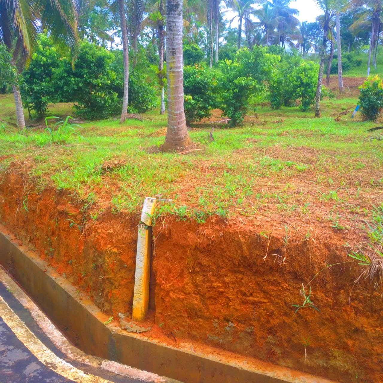 වහාම විකිණීමට: හෝමාගම (Green Embezzy) පර්චස් 6.1ක අගනා ඉඩම – වසර 3කට පෙර ගත් මිලටම!