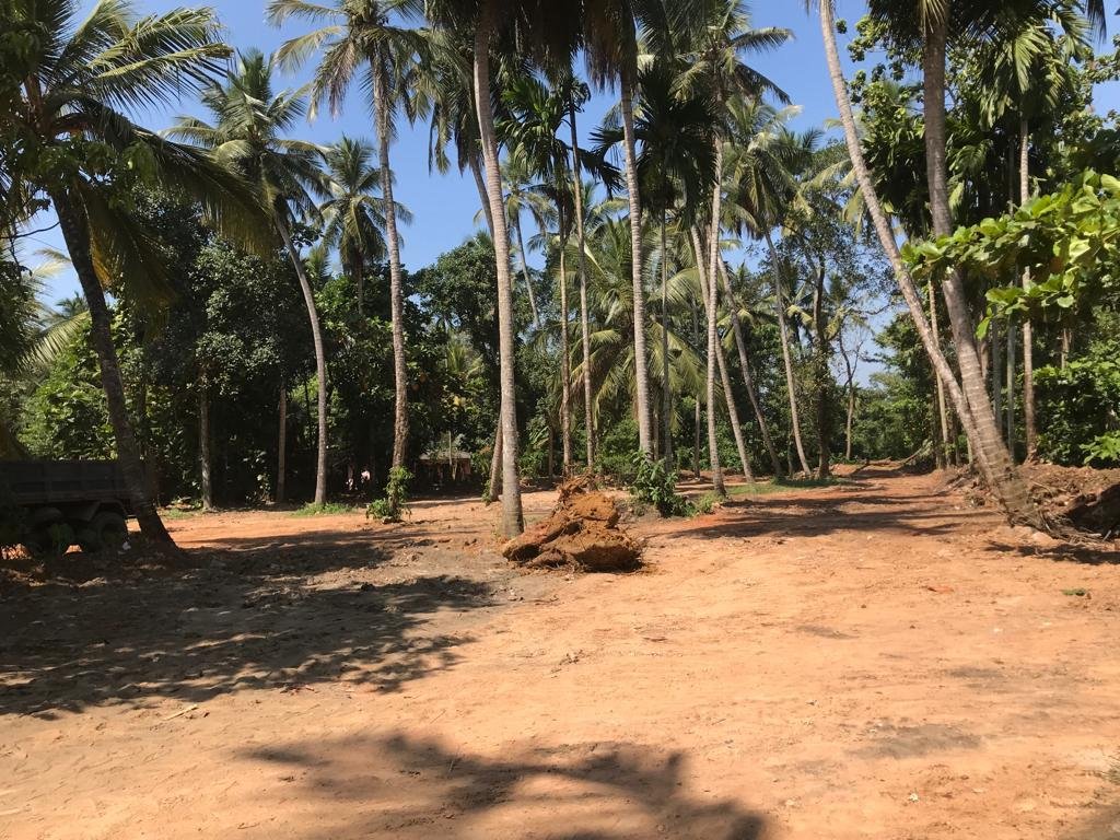 🏡🔥 කඩුවෙල හංවැල්ල පාරේ පර්චස් 164ක අගනා ඉඩමක් විකිණීමට! 🔥🏡