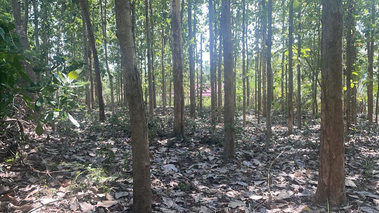 තණමල්විල නගරයට ඉතා ආසන්නයෙන් අගනා ඉඩමක් විකිණීමට