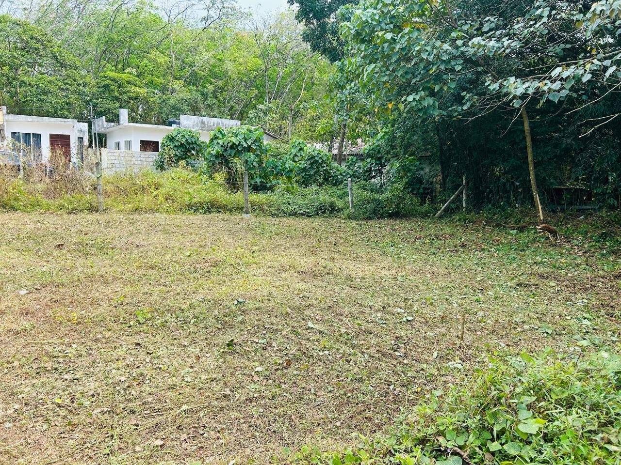 හෝමාගම – මීගොඩ බටවල ප්‍රදේශයේ වටිනා ඉඩමක් විකිණීමට!