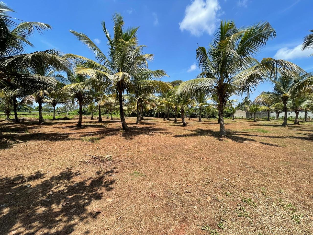 VALUABLE BARE LAND FOR SALE IN KANDANA