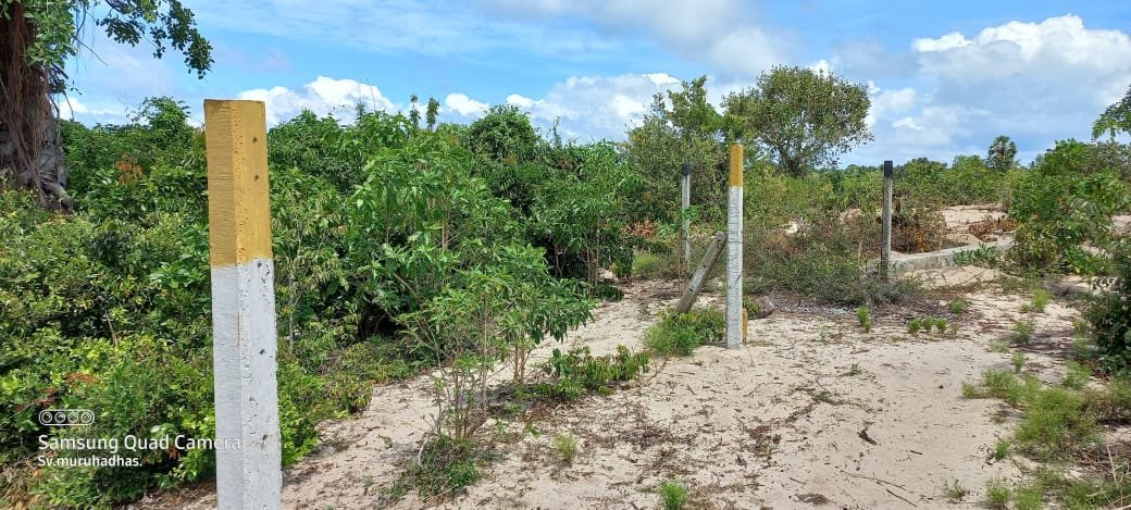 Valuable Land for Sale in Batticaloa District (Morakotanchenai)