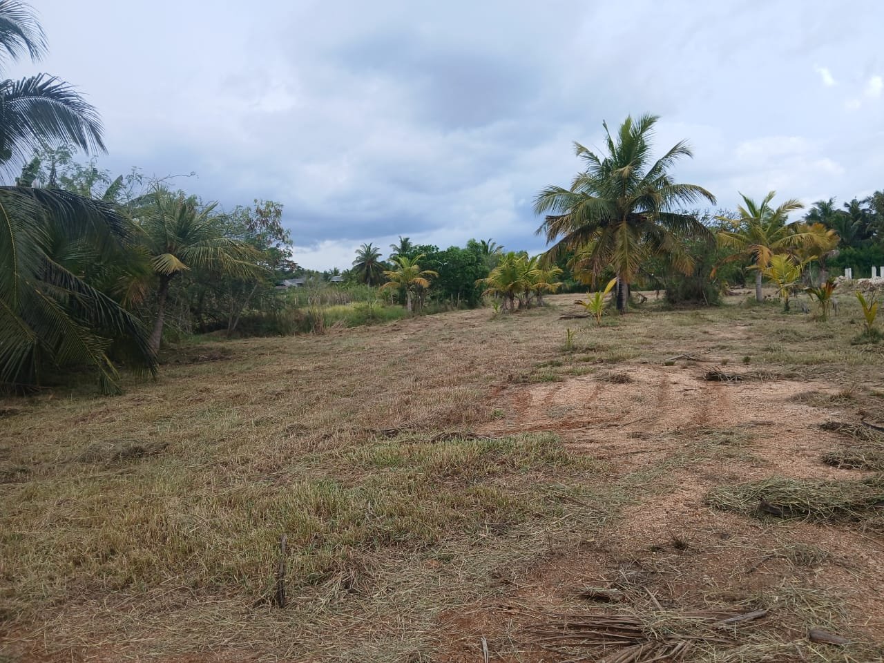 පුත්තලම නගර සීමාවේ පර්චස් 160ක අගනා ඉඩමක් විකිණීමට