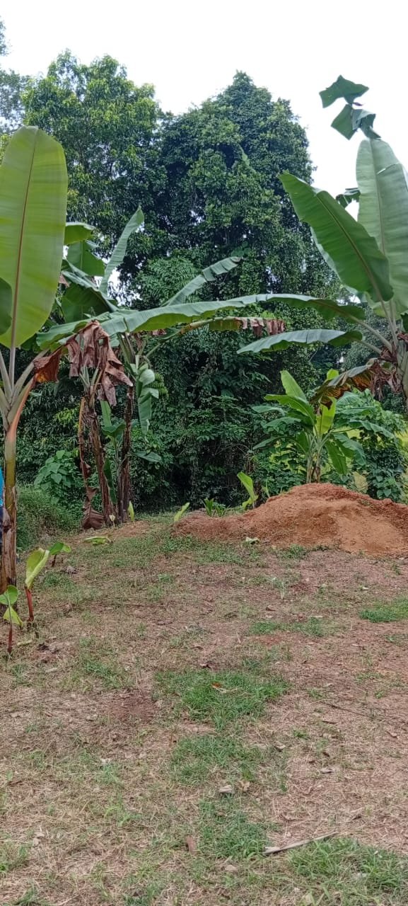 හෝමාගම - කිරිවත්තුඩුව වටිනා ඉඩමක් විකිණීමට