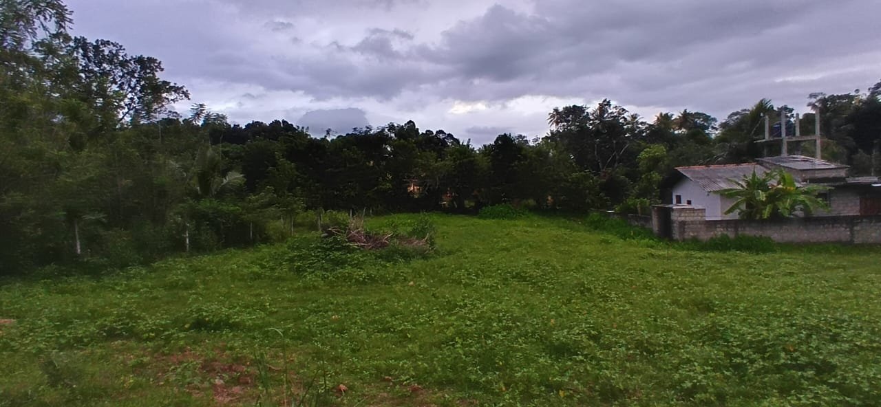 කුරුණෑගලින් පර්චස් 96ක වටිනා නේවාසික ඉඩම සහ නිවස වහාම විකිණීමට