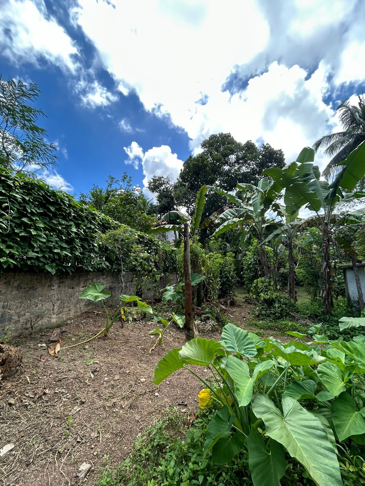🏡 VALUABLE RESIDENTIAL LAND FOR SALE – THALAWATHUGODA 🏡