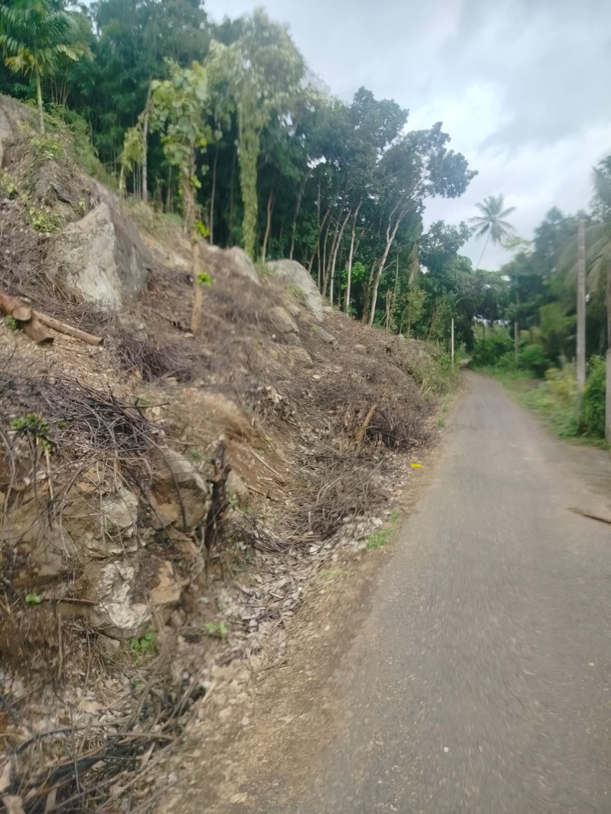 පොතුහැර, කුරියම්පල පාරෙන් කුරුඳු වගා කළ අගනා පර්චස් 170 ක ඉඩම වහාම විකිණීමට (පර්චසය රු. 70,000)