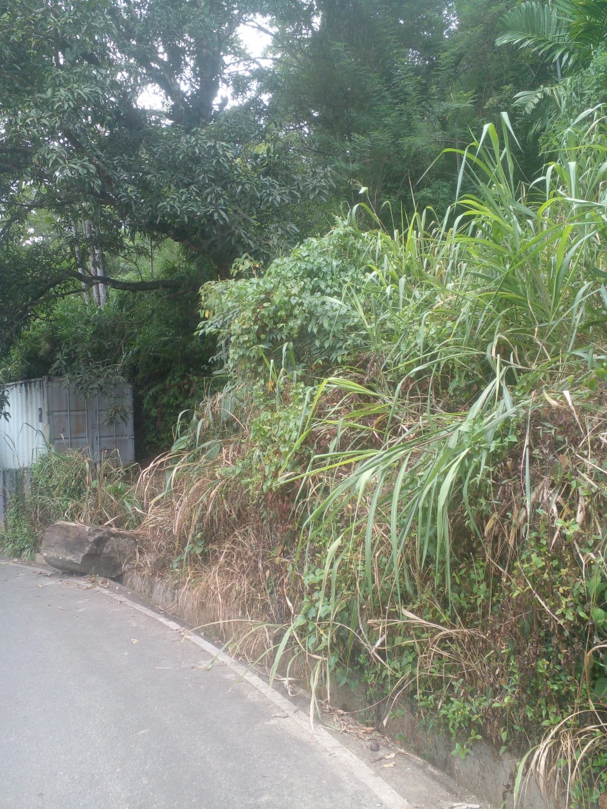 පේරාදෙණිය, නෙල්ලිගල පාරෙන් (මුරුතලාව) පදිංචියට ඉතා සුදුසු පර්චස් 25ක නේවාසික ඉඩම වහාම විකිණීමට