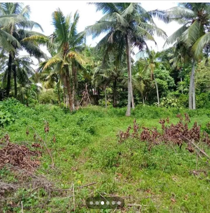 මාලඹේ, පිට්ටුගල තුන්අඳහේන පාර අයිනෙන් වටිනා ඉඩමක් විකිණීමට - පර්චස් 106