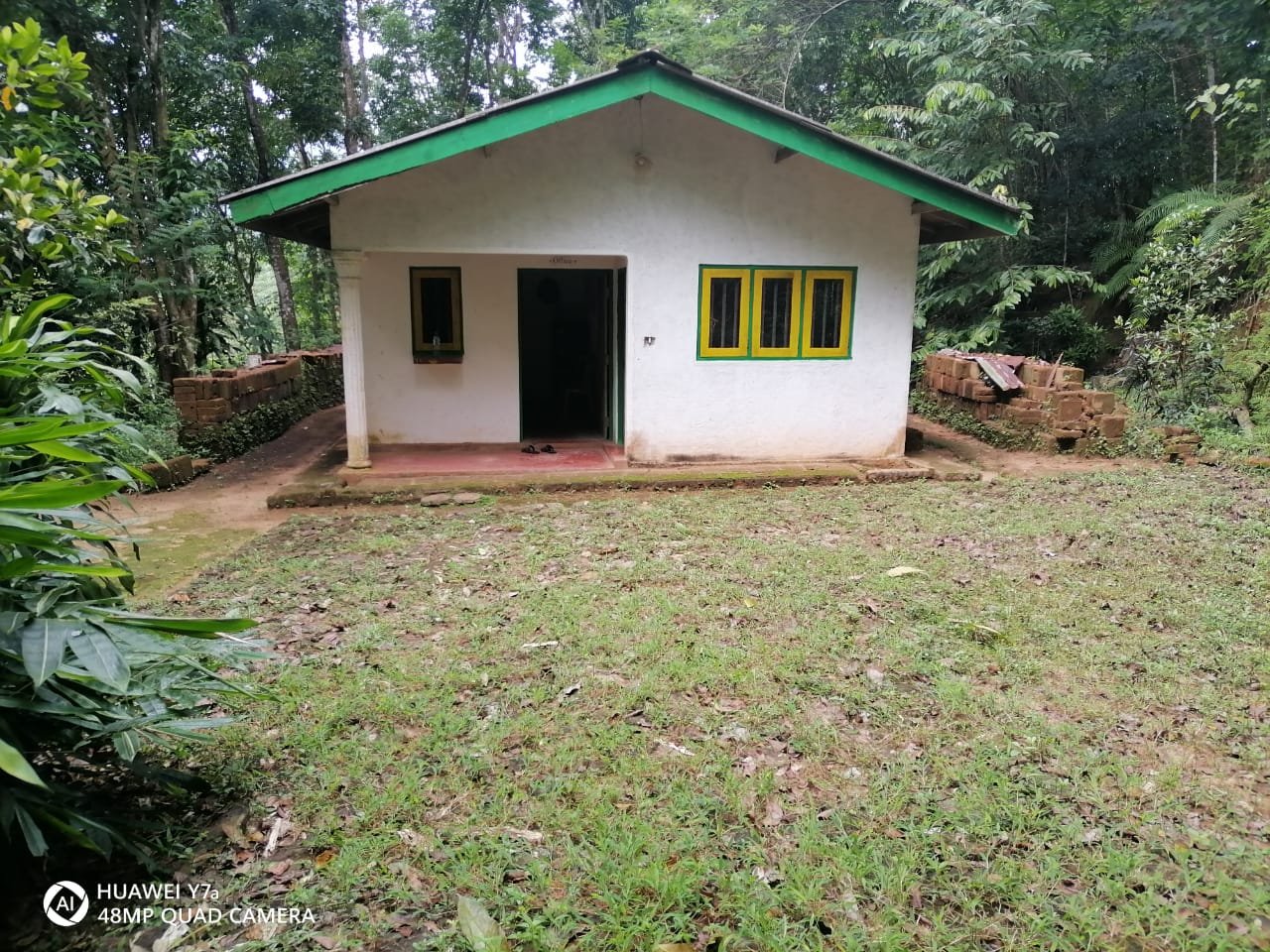 Prime 21-Acre Mahogany Plantation for Sale in Kitulgala (Gonagamuwa Estate)