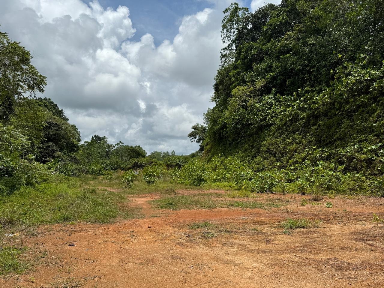 3 Acres of Land for Sale – Kalawila