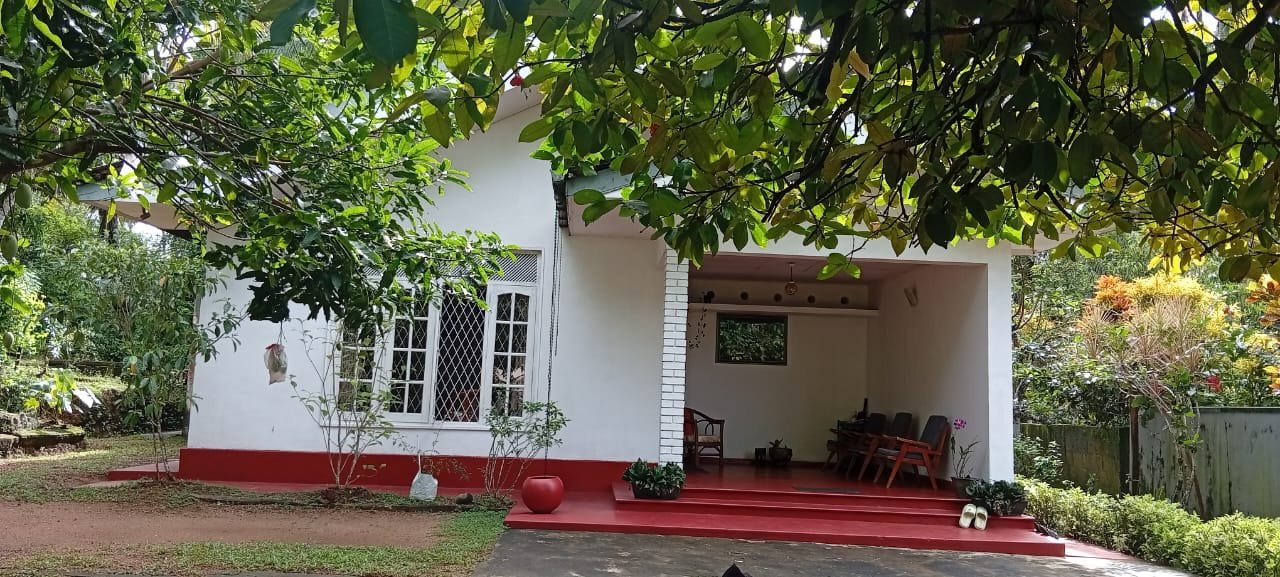 කොට්ටාව දොලේකඩේ හන්දිය ආසන්නයෙන් හොරණ - මහරගම ප්‍රධාන බස් පාරට මුහුණලා පර්චස් 76 ක අගනා ඉඩමක් විකිණීමට