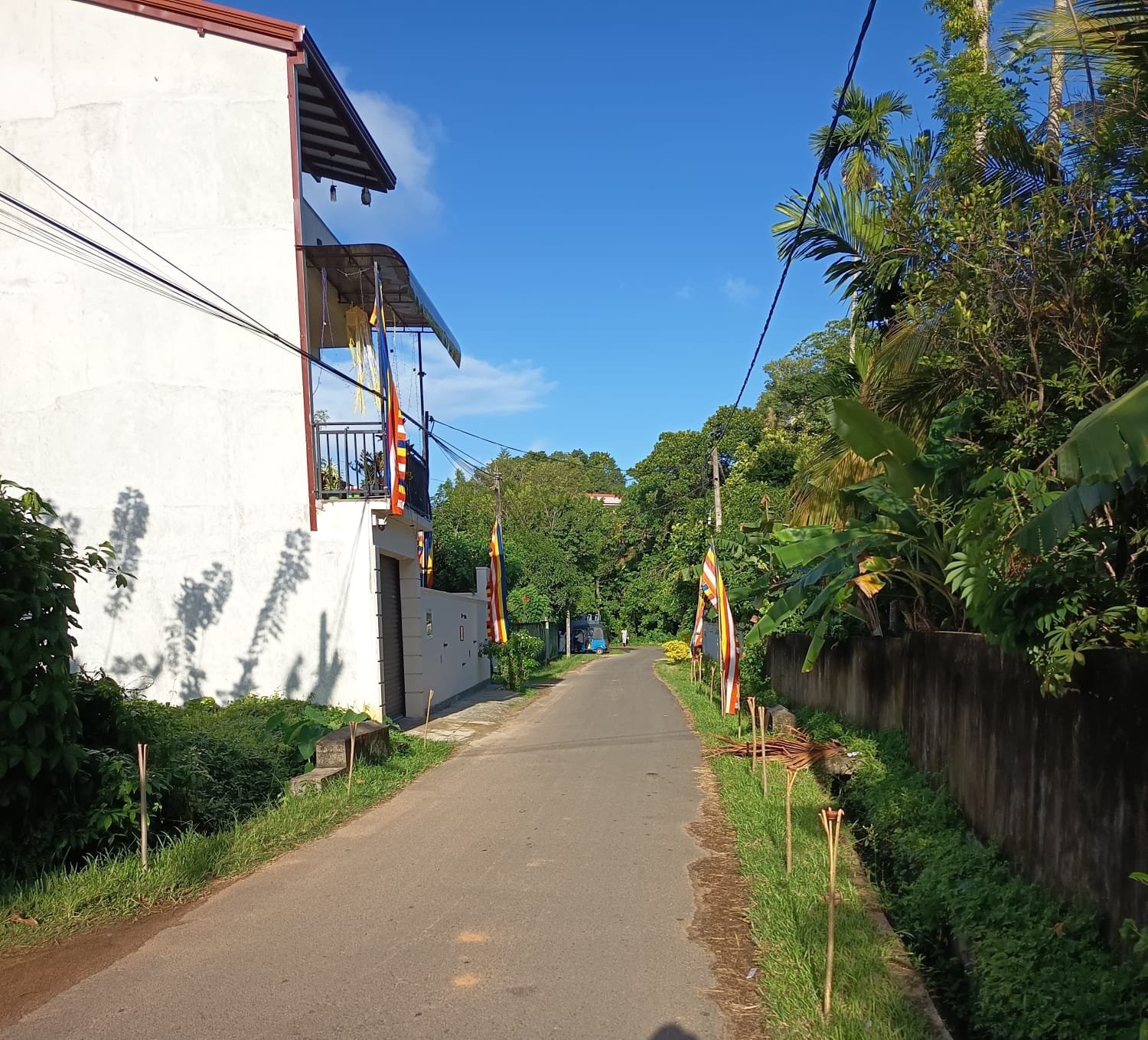 වැලිගම නගරයට ඉතා ආසන්නයෙන් වටිනා බිම් කොටස් වහාම විකිණීමට
