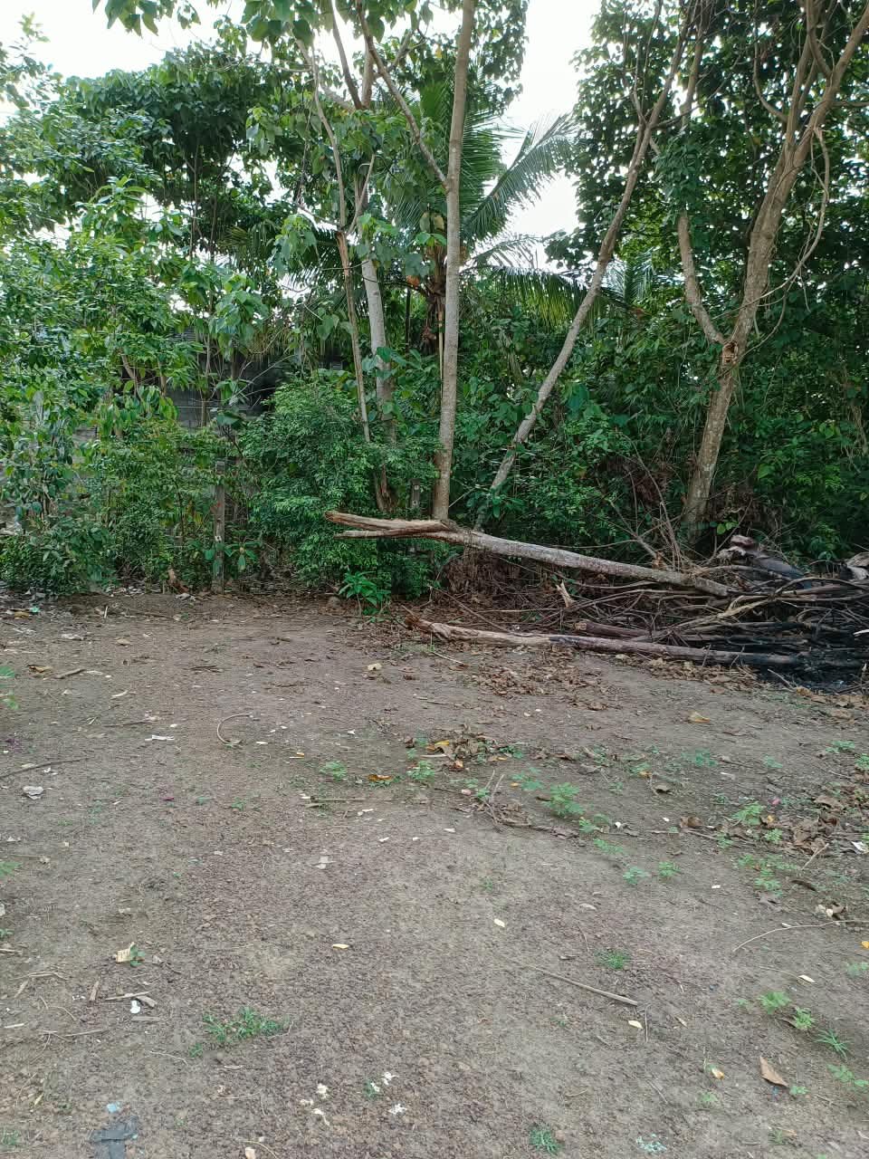 අතුරුගිරියෙන් වටිනා ඉඩමක් වහාම විකිණීමට