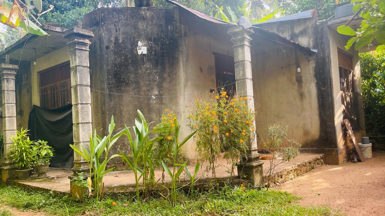 නිට්ටඹුව – වේයන්ගොඩ ප්‍රධාන මාර්ගයට ආසන්නව  පදිංචියට මෙන්ම අනාගත ආයෝජනයකටත් ඉතා වටිනා ස්ථානයක පිහිටි ඉඩම් සහ නිවාස දෙකක් දැන් විකිණීමට