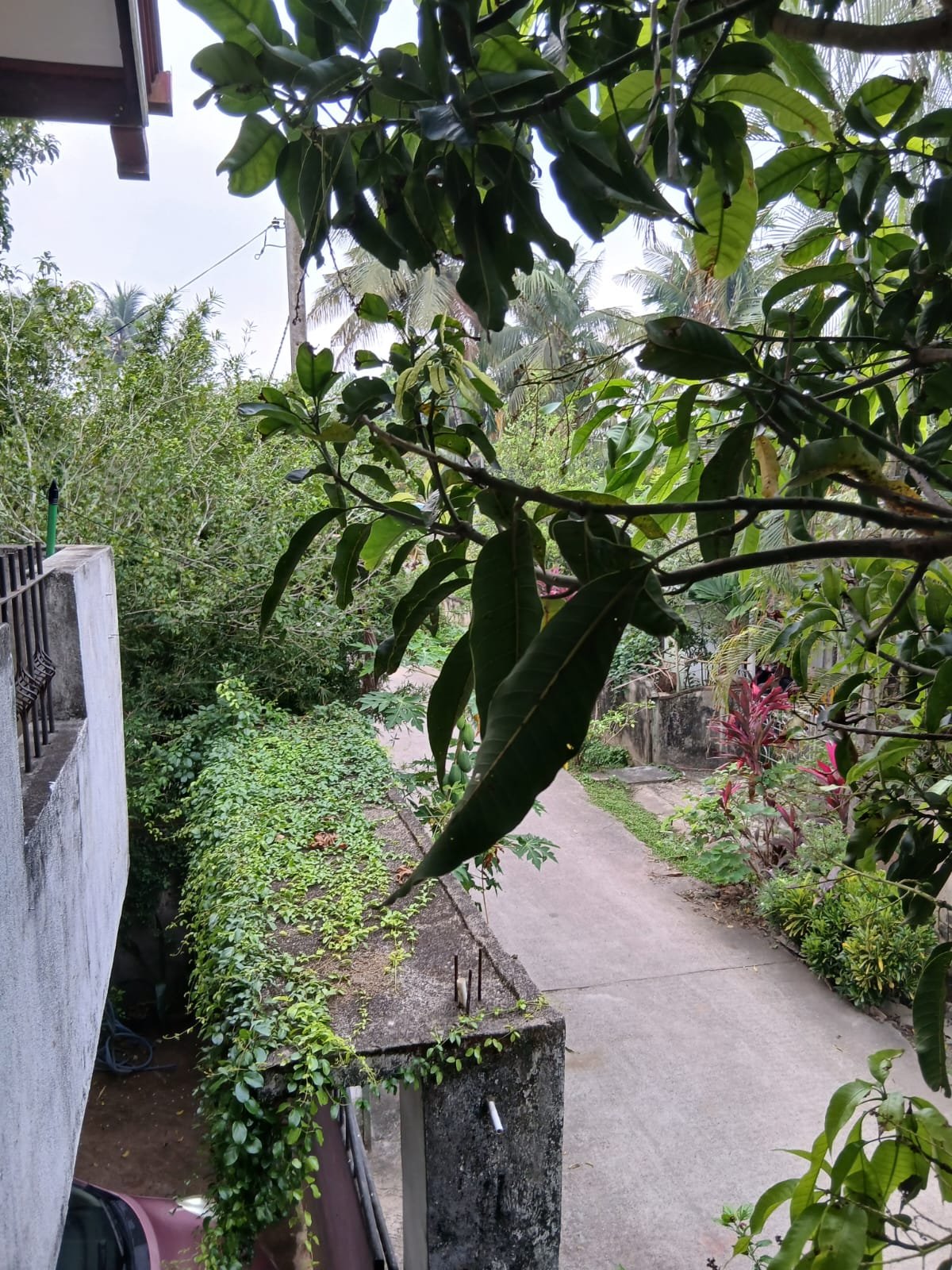 ජා - ඇළ,ඒකල ප්‍රදේශයේ වටිනා නිවසක් ඉක්මනින් විකිණීමට
