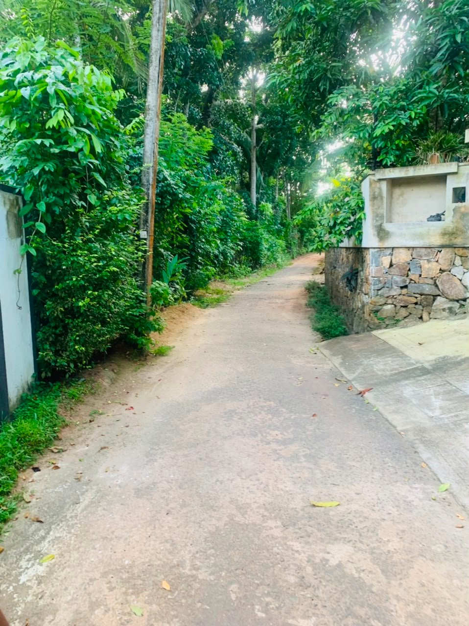 ගාල්ල – අක්මීමණ වටිනා ඉඩමක්