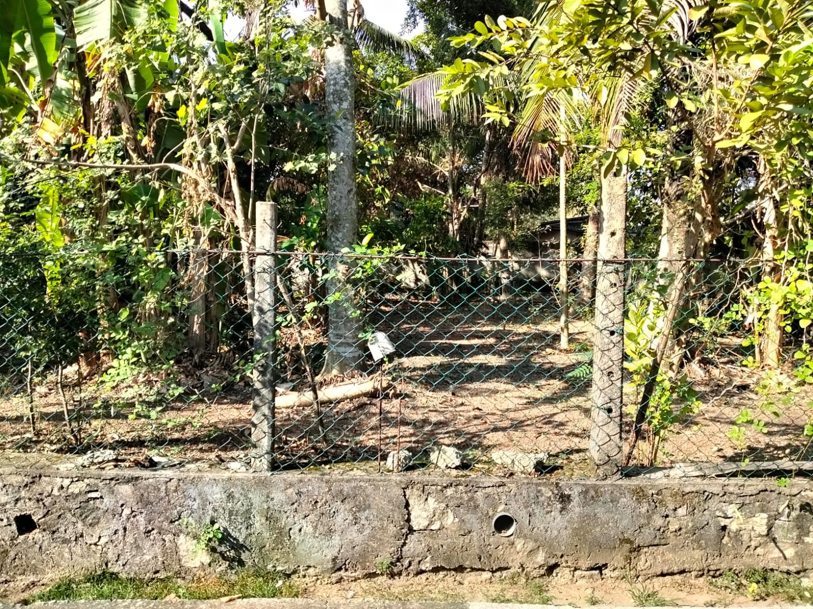 Prime 10 Perches Residential Land for Sale in Malabe, Thalahena (Parakrama Mawatha) – LKR 18 Million