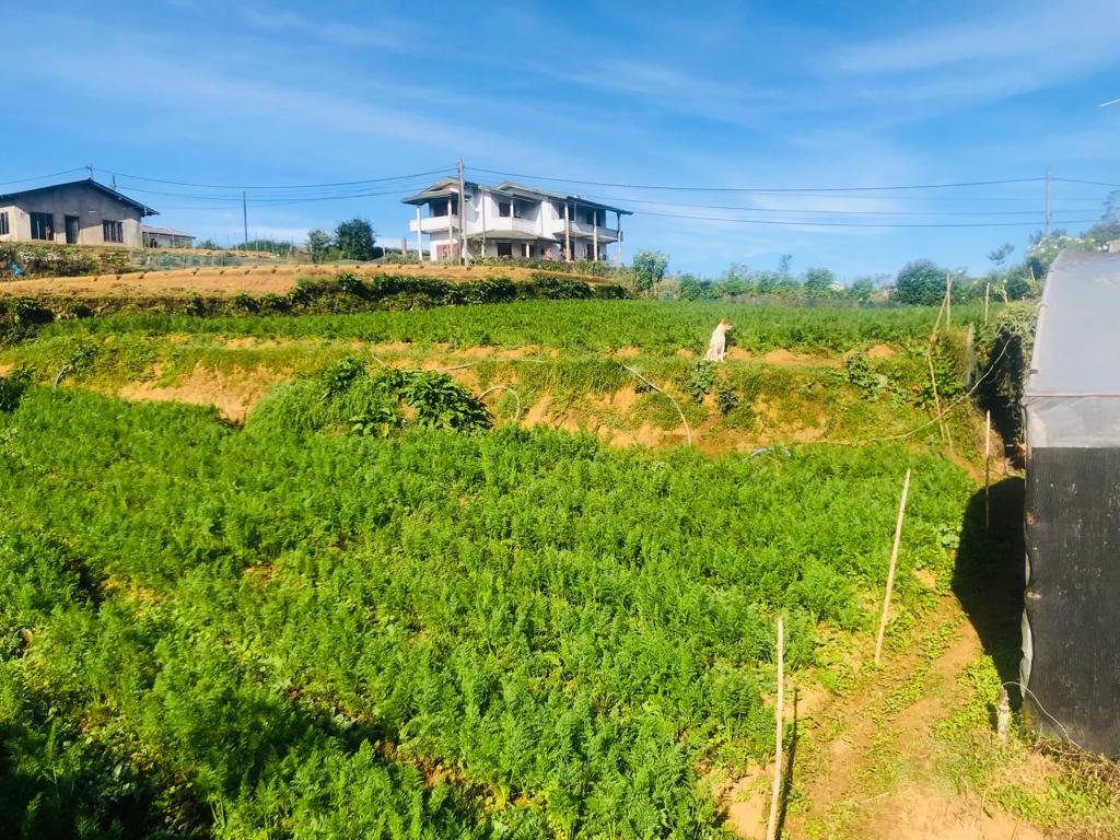 නුවරඑළිය මීපිලිමානයෙන් සුපිරි නේවාසික/සංචාරක ඉඩමක් විකිණීමට - පර්චස් 36