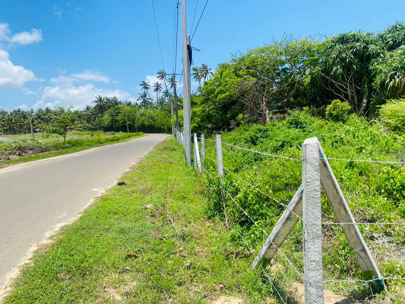 BEACHFRONT LAND FOR SALE – GURUPOKUNA, HAMBANTOTA